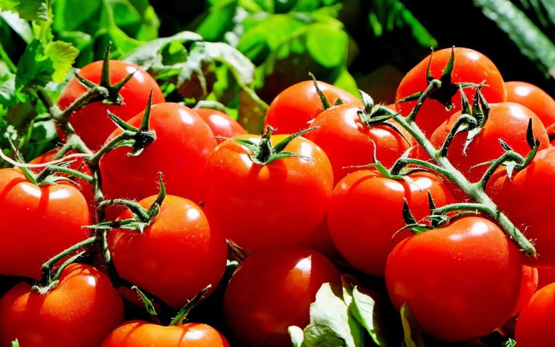 tomatoes-1280859_1280